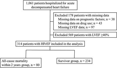 Effects of renin-angiotensin system inhibitor and beta-blocker use on mortality in older patients with heart failure with reduced ejection fraction in Japan